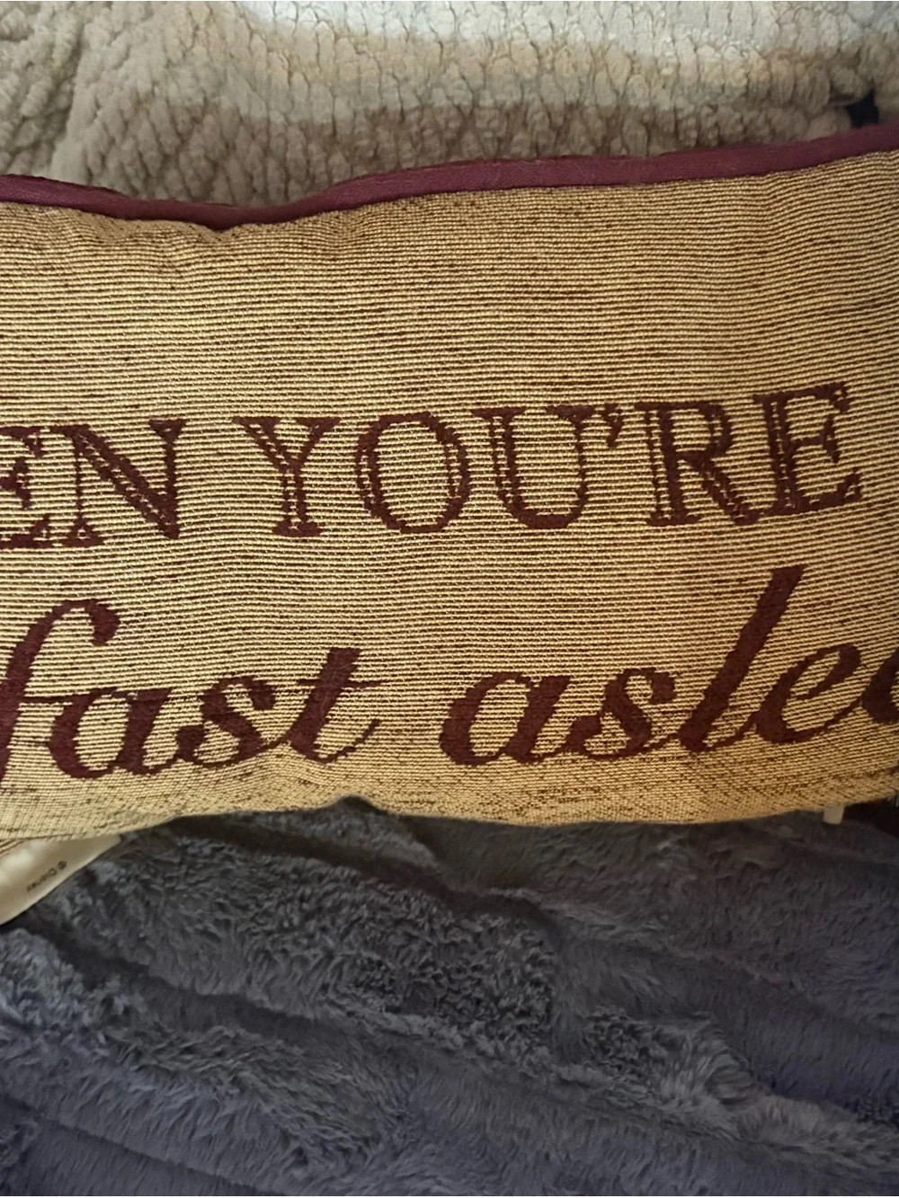 Disney Parks Cinderella - A Dream is a Wish your Heart Makes Accent Home Pillow